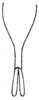 Phyllozelus (Phyllozelus) caeruleus Beier, 1954: Fig. 69. male subgenital plate. (Otu).
