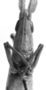 CollectionObject 1521495; a55de16e-c17d-4f8d-9cd1-c325aa984cec: Image Carbonell, C.S. female, frontal view (syntype). (CollectionObject).