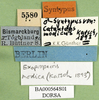 CollectionObject 1501224; 80096f1b-5823-4512-9e87-df236d6725e7: labels (lectotype). (CollectionObject).