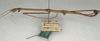 CollectionObject 1559073; 44291758-9570-471d-b6ae-d45da8355529: copyright NMW, Vienna. male, lateral view (syntype). (CollectionObject).;CollectionObject 1559074; 2451ce58-85e4-4ce9-9ca3-0ba8783ef77d: copyright NMW, Vienna. male, lateral view (syntype). (CollectionObject).