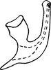 Aedeagus, lateral view on Eupteryx (Eupteryx) omani Christian, 1956: Aedeagus, lateral view. (Observation).