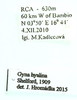 Gyna hyalina Shelford, 1909: (Otu).