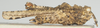 CollectionObject 1577223; 388d2b18-a1ca-45a3-980b-39d3ffd46ae6: female, lateral view. (CollectionObject).