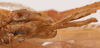 CollectionObject 1534702; f6a49883-4a52-4f0c-8e85-2f41d2782e43: male subgenital plate (syntype of Mataeus longipennis). (CollectionObject).