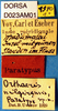 CollectionObject 1568995; 7e4b682f-6134-46be-a929-8904e5aaf1d5: labels (paratype). (CollectionObject).
