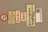 CollectionObject 1519067; a39dd9fb-b29d-493d-b9ff-4d895268081e: labels (holotype). (CollectionObject).