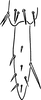 Nymph: Apex of hind tibia and first tarsomere. (Observation).