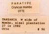 CollectionObject 1961631; 6f2fa3cf-d98c-4710-a052-ba466dd71a26, ANSP 10_GRYLL_ANSP: Female, labels (paratype). (CollectionObject).