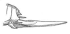 Eucocconotideus guianensis Beier, 1960: Fig. 143 b. ovipositor (length 21,5 mm). (Otu).