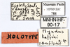 Other: !! display not done !! on Colvanalia taffini (Bonfils, 1983): (Observation).
