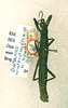 CollectionObject 1561548; ab82bba3-4dd6-4f54-be8b-d0d4921145ce: copyright RMNH, Leiden. female (holotype). (CollectionObject).