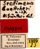 CollectionObject 1577252; 385107e9-5d12-47ec-854a-f764d8d66035: labels (syntype). (CollectionObject).