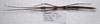 CollectionObject 1584646; 243dc820-904f-4c96-89b9-f256aa96d110: (CollectionObject).