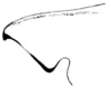 Belocephalus subapterus subapterus Scudder, 1875: Pl. 8 fig. 2. male fastigium, lateral view. (Otu).