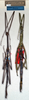 CollectionObject 1561728; e1ff4eca-3d0a-4a18-971a-dcff293ca2bc: copyright NMW, Vienna. male and female juv. (syntypes). (CollectionObject).;CollectionObject 1561729; 7acfe17d-1116-4755-9345-333ef879d515: copyright NMW, Vienna. male and female juv. (syntypes). (CollectionObject).