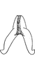 Connective on Ciudadrea Dworakowska, 1970: Connective (C. punctigera Horv.). (Observation).