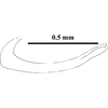 Ovipositor on Concavifer marmoratus Dlabola, 1960: lateral view. (Observation).