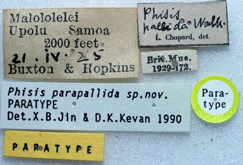 labels (paratype). Depicts CollectionObject 1596006; f1796cfc-e1f7-435b-bde1-5829dfb5daf9, a CollectionObject.
