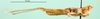 CollectionObject 1576975; 135e49be-3230-4bd4-b10a-9716b71de9c0: male, lateral view (paralectotype). (CollectionObject).