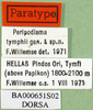 CollectionObject 1502042; 4c0374b3-e8fc-44ee-894a-c6b9628acd56: labels (paratype). (CollectionObject).