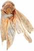 Habitus, dorsal view on Allophleps eques (Jacobi, 1910): male, lectotype. (Observation).