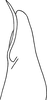 Pygofer, dorsal view: Pygofer (paratype), dorsal view. (Observation).