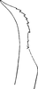 Stylus: Stylus. (Observation).