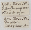 CollectionObject 1552394; b9494f75-fbd8-4511-a832-d47514087b42: labels. (CollectionObject).