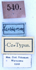 CollectionObject 1534491; 5ecc8c43-e2ff-4876-9ec0-81ab2154ed10: labels (syntype). (CollectionObject).