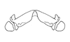 Megacheilacris bullifemur bullifemur (Descamps & Amédégnato, 1971): Fig. 111. epiphallus, dorsal view. (Otu).