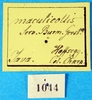 CollectionObject 1578131; 86317484-1fdc-45b0-93b6-4721746eac64: labels. (CollectionObject).