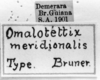 CollectionObject 1566472; 56a7a2f6-f39a-4655-a2a1-c98d5cd96b74: Image Carbonell, C.S. labels (syntype of Omalotettix meridionalis). (CollectionObject).