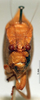 CollectionObject 1537325; 070e0881-c9f5-4127-9916-c5bb17ab4b06: male, frontal view (holotype). (CollectionObject).