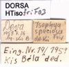 CollectionObject 1507218; a8a2dfd5-06b0-4075-96b1-0ca001e7ba68: labels. (CollectionObject).