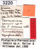 CollectionObject 1536695; ff987ae4-ebe7-46b3-a5fa-a9ae15690273: labels (paratype). (CollectionObject).
