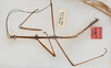 CollectionObject 1559626; 61c7ebf6-5733-4393-98ea-8612cd96158f: copyright USNM, Washington. male, dorsal view (lectotype). (CollectionObject).