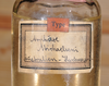 CollectionObject 1563565; d41d369d-1598-4dda-8d7a-53f89270c85e: Copyright ZMHB, Berlin. female nymph [in alcohol] (syntype). (CollectionObject).