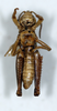 CollectionObject 1528778; 026a847e-ac29-4579-a26b-35b5ea1424cc: male, ventral view (holotype). (CollectionObject).