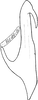 Aedeagus, lateral view on Cosmotettix (Airosius) multinotatus (Vilbaste, 1965) now Cosmotettix (Airosius) paludosus (Ball, 1899): Aedeagus, lateral view. (Observation).