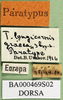 CollectionObject 1502867; c9addb4b-f215-41dd-93cd-8263065322e5: labels (paratype). (CollectionObject).