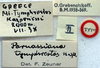 CollectionObject 1517196; 22cdfdac-5157-444e-9fd3-f7c0f9bdc7c3: labels (holotype). (CollectionObject).
