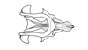 Dichroplus robustulus (Stål, 1878): Fig. 10. phallic complex, without epiphallus, dorsal view. (Otu).