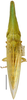 Habitus, dorsal view on Paradorydiina Evans, 1937: Paradorydium quadrigonum, dorsal habitus (INHS). (Observation).
