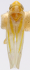 Habitus, dorsal view on Erythridula minuta (Johnson, 1935): Habitus (holotype of E. fragilis Johnson, OSU collection). (Observation).