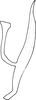 Aedeagus, lateral view on Shaddai xianensis Ma, 1981: Aedeagus, lateral view. (Observation).