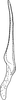 Stylus: !! display not done !! on Forcipata citrinella (Zetterstedt, 1828): Stylus. (Observation).