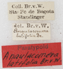 CollectionObject 1532126; NMW 8875, a7683a40-a9be-4d5c-ba06-c50cf6c7ee92: labels. (CollectionObject).