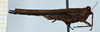 CollectionObject 1506077; f83b31c4-a211-4d19-a903-bc455aa3187c: female, lateral view (syntype). (CollectionObject).