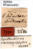 CollectionObject 1501721; f426b469-444e-45ae-85ee-0f30e721ee70: labels (syntype). (CollectionObject).