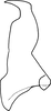 Stylus on Changwhania terauchii (Matsumura, 1915): Stylus. (Observation).